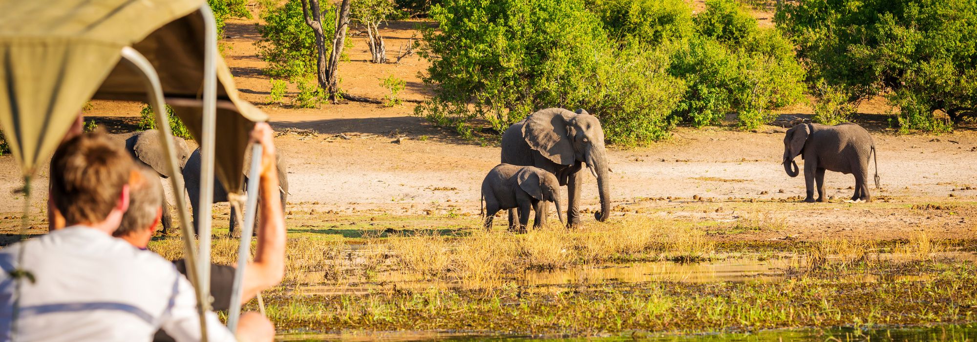 Twee reizigers bekijken een groep olifanten tijdens een bootsafari in Afrika, met groene struiken op de achtergrond.