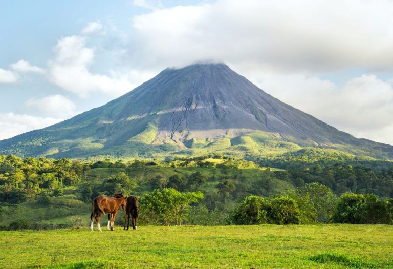 De majestueuze Arenal vulkaan torent boven een groene vlakte uit, waar paarden grazen in de ochtendzon. Deze foto symboliseert de natuurlijke schoonheid en rust die je beleeft tijdens een rondreis Costa Rica door het binnenland.