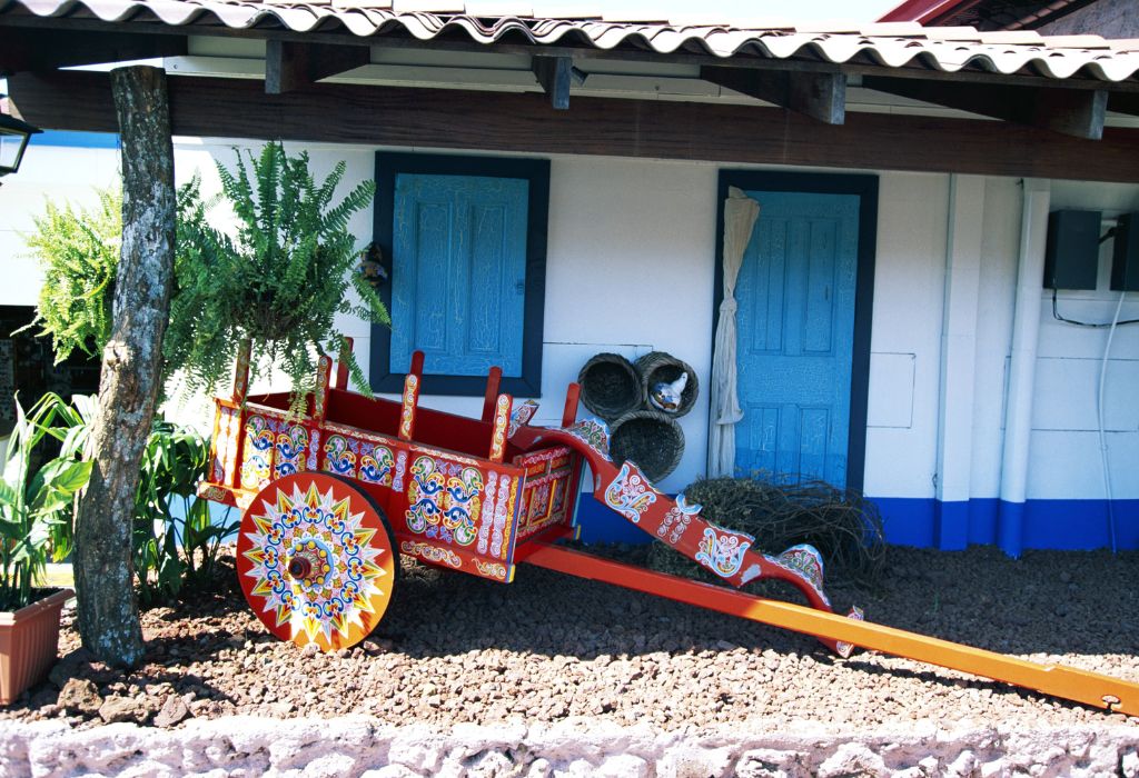 Deze prachtig beschilderde ossenkarren, onderdeel van het cultureel erfgoed van Costa Rica, zijn een feest voor het oog. Tijdens een vakantie Costa Rica kun je deze kleurrijke traditie bewonderen in dorpjes zoals Sarchí, waar cultuur en vakmanschap samenkomen.