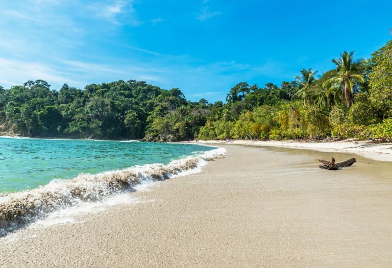 Een ongerept tropisch strand met wuivende palmbomen en zacht rollende golven, ideaal voor wie op zoek is naar ontspanning tijdens een reis Costa Rica. Dit paradijselijke tafereel weerspiegelt de natuurlijke rijkdom van het land en maakt deel uit van veel maatwerk routes tijdens een vakantie Costa Rica.