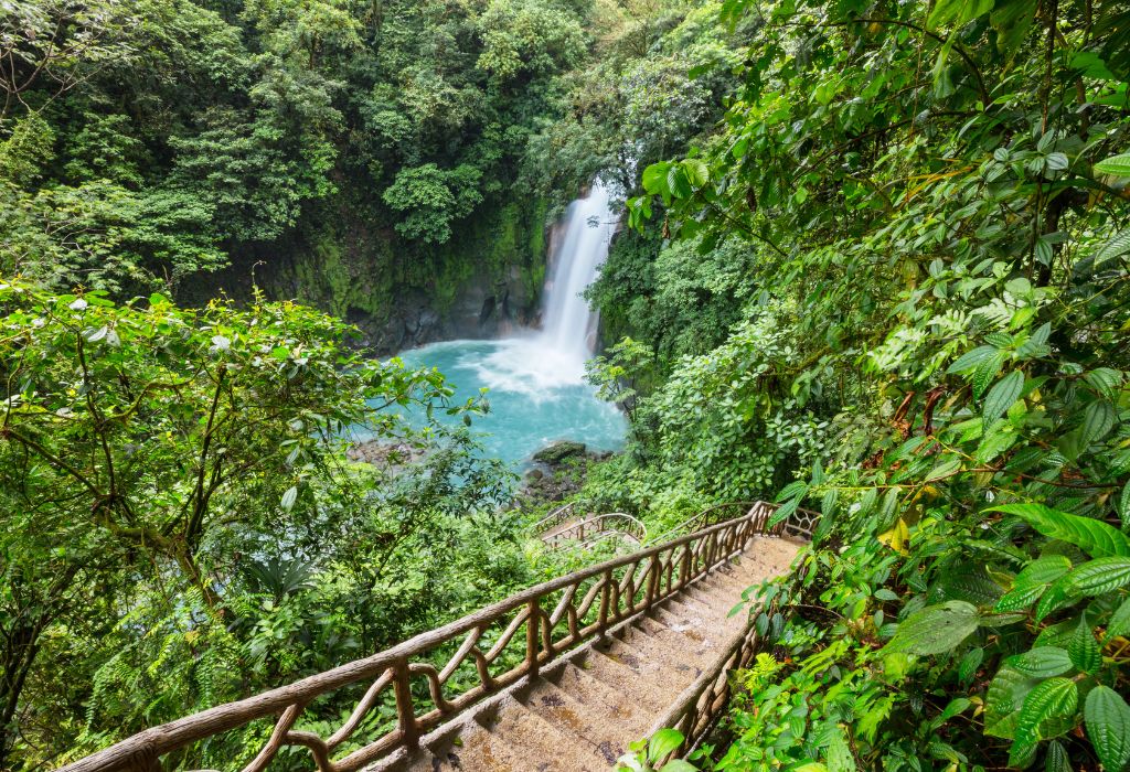 Een weelderige jungletrap leidt naar de indrukwekkende Rio Celeste-waterval, met felblauw water en omringd door tropisch regenwoud. Dit sprookjesachtige tafereel is een must-see tijdens een actieve reis naar Costa Rica en past perfect in een natuurgerichte rondreis.