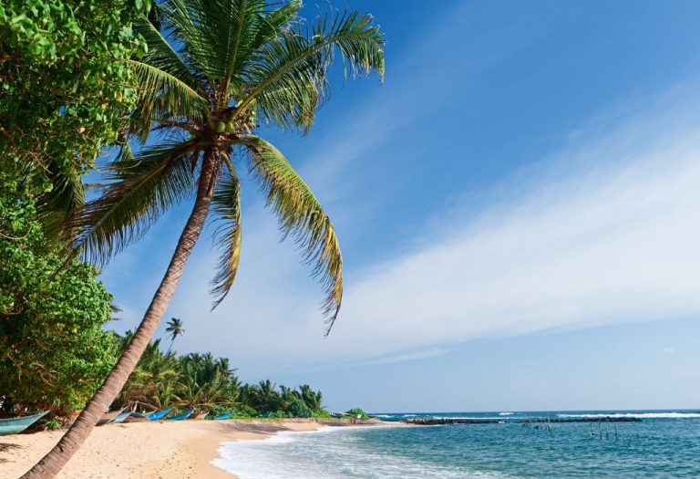 Goudgeel strand met wuivende palmbomen en helderblauw water aan de zuidkust van Sri Lanka